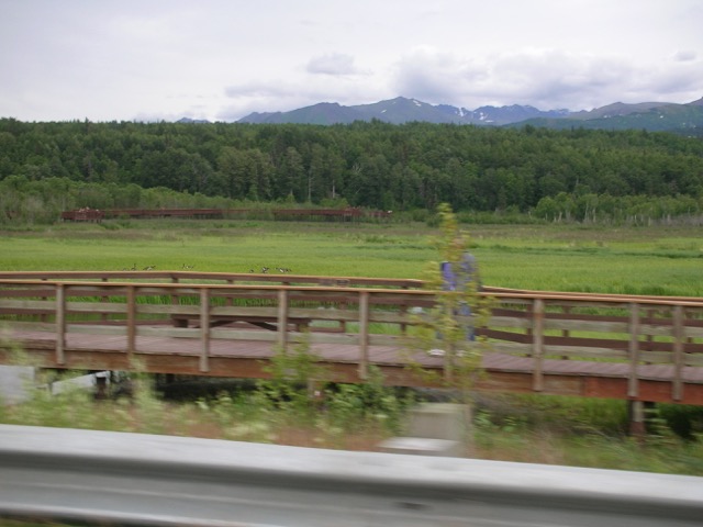 Loading Image